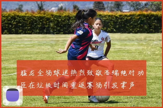 猛龙全场球迷热烈致敬洛瑞绝对功臣在垃圾时间重返赛场引发掌声