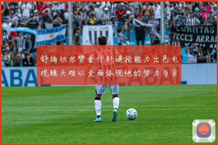 舒梅切尔赞舍什科逼抢能力出色电视镜头难以全面体现他的努力与贡献